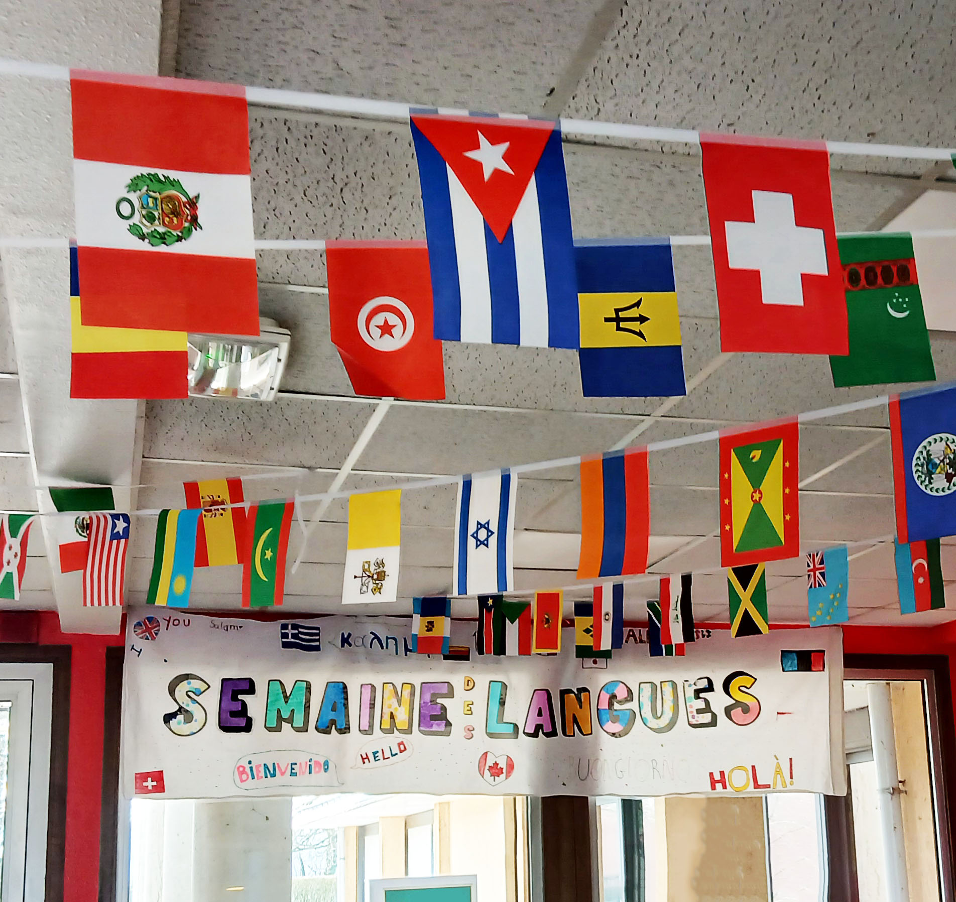 Languages and flags